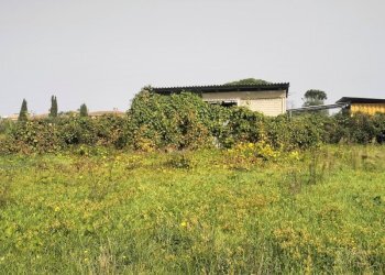 IMG20241015112115.jpg - Terreno agricolo Via Lago di Sirino, Nettuno - foto 9