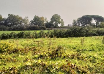 IMG20241015112150.jpg - Terreno agricolo Via Lago di Sirino, Nettuno - foto 10