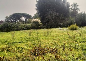 IMG20241015112153.jpg - Terreno agricolo Via Lago di Sirino, Nettuno - foto 11