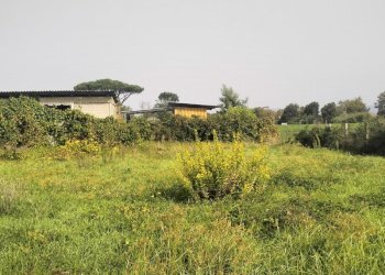 IMG20241015112041.jpg - Terreno agricolo Via Lago di Sirino, Nettuno - foto 12