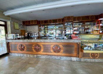 IMG_2426.jpg - Cafeteria - Cold Bar Via Venezia 12, Nettuno - photo 2