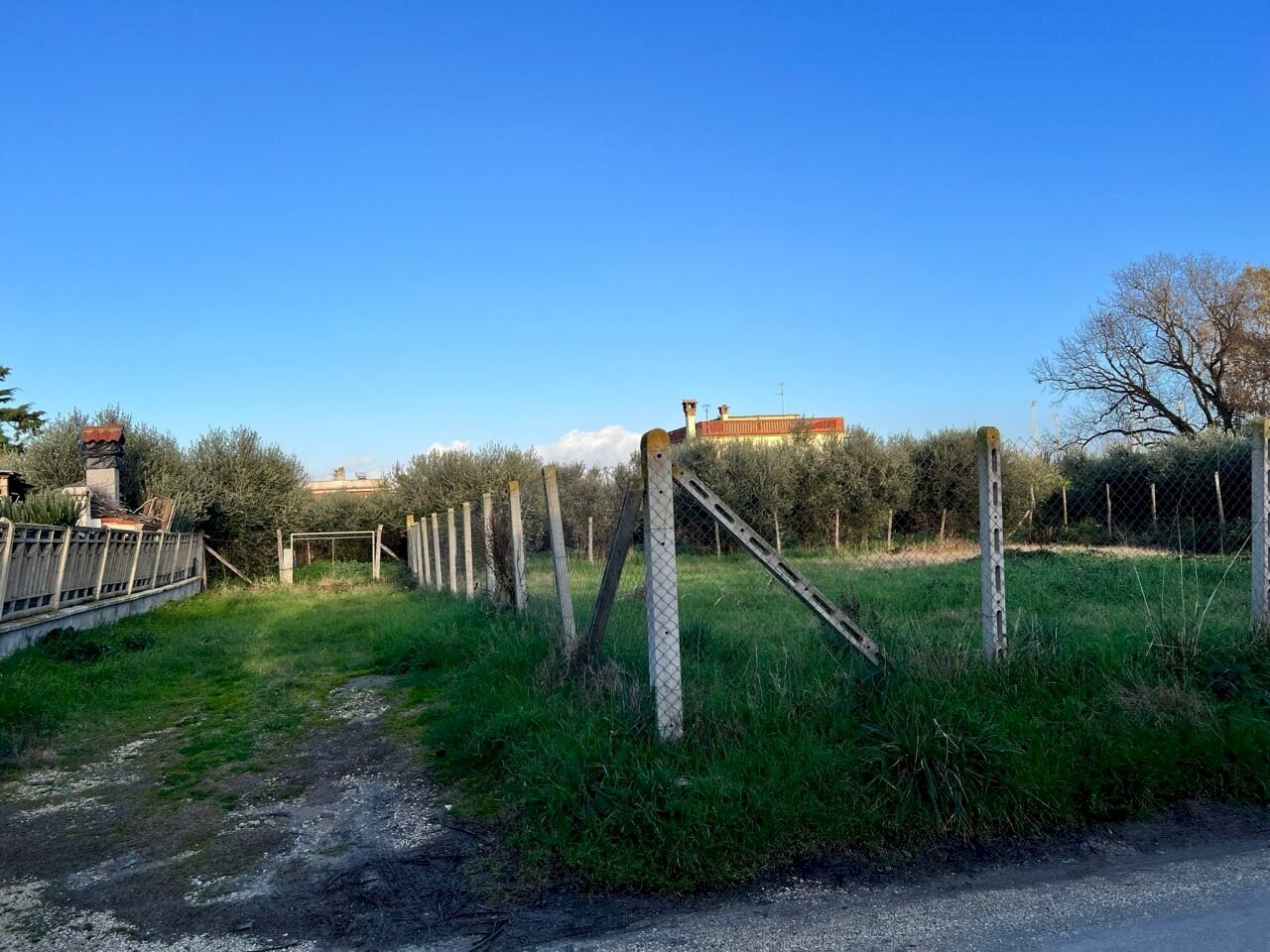 PHOTO-2024-01-15-16-07-41 2.jpg - Building land Via Cellere 1, Nettuno - photo 1