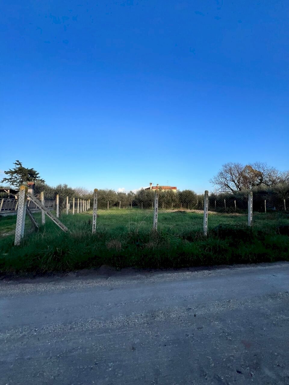PHOTO-2024-01-15-16-07-40.jpg - Building land Via Cellere 1, Nettuno - photo 2