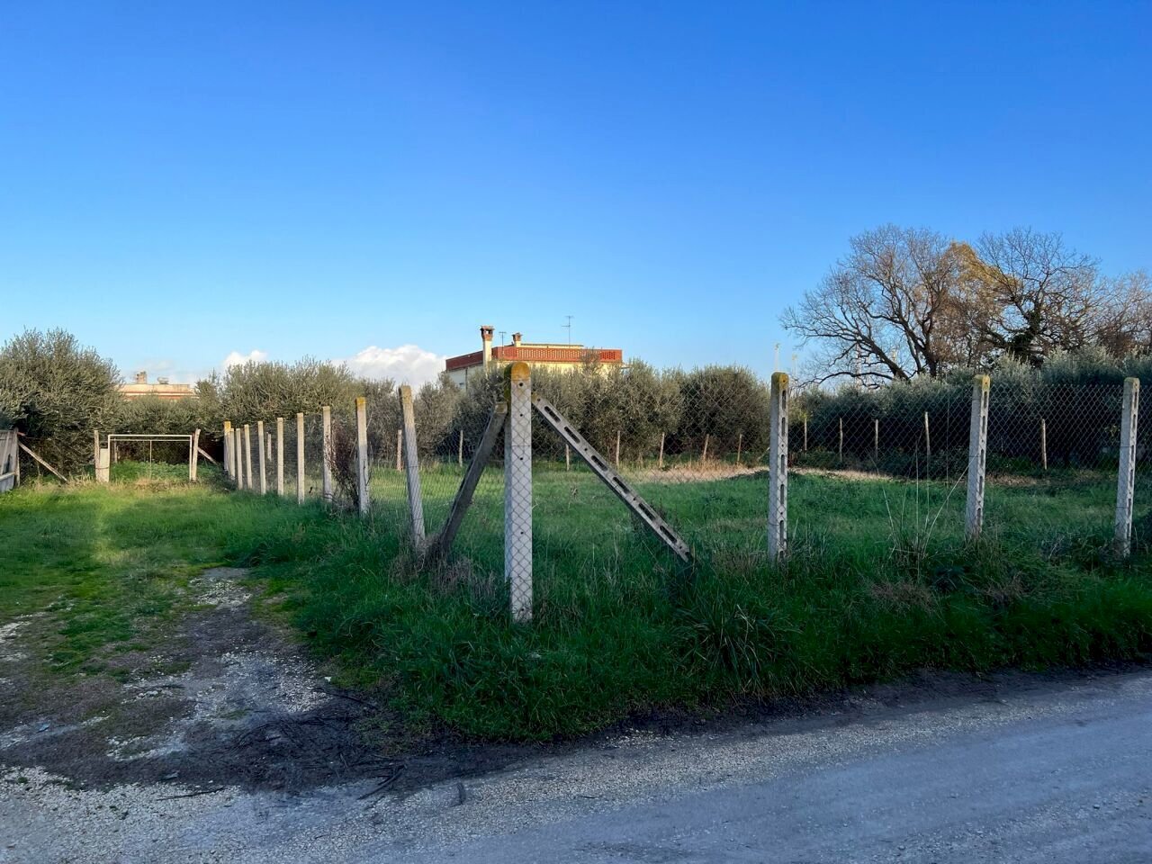 PHOTO-2024-01-15-16-07-41.jpg - Building land Via Cellere 1, Nettuno - photo 3