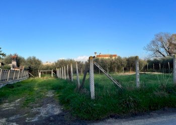 PHOTO-2024-01-15-16-07-41 2.jpg - Building land Via Cellere 1, Nettuno - photo 1