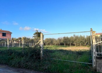 PHOTO-2024-01-15-16-07-42 2.jpg - Building land Via Cellere 1, Nettuno - photo 5