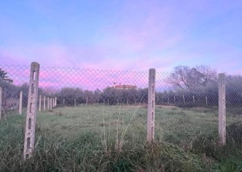 PHOTO-2024-01-08-17-16-09.jpg - Building land Via Cellere 1, Nettuno - photo 6