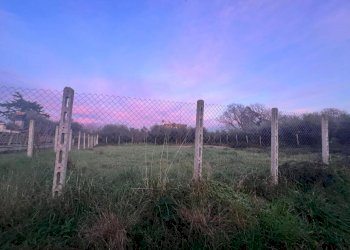 PHOTO-2024-01-08-17-16-10.jpg - Building land Via Cellere 1, Nettuno - photo 7