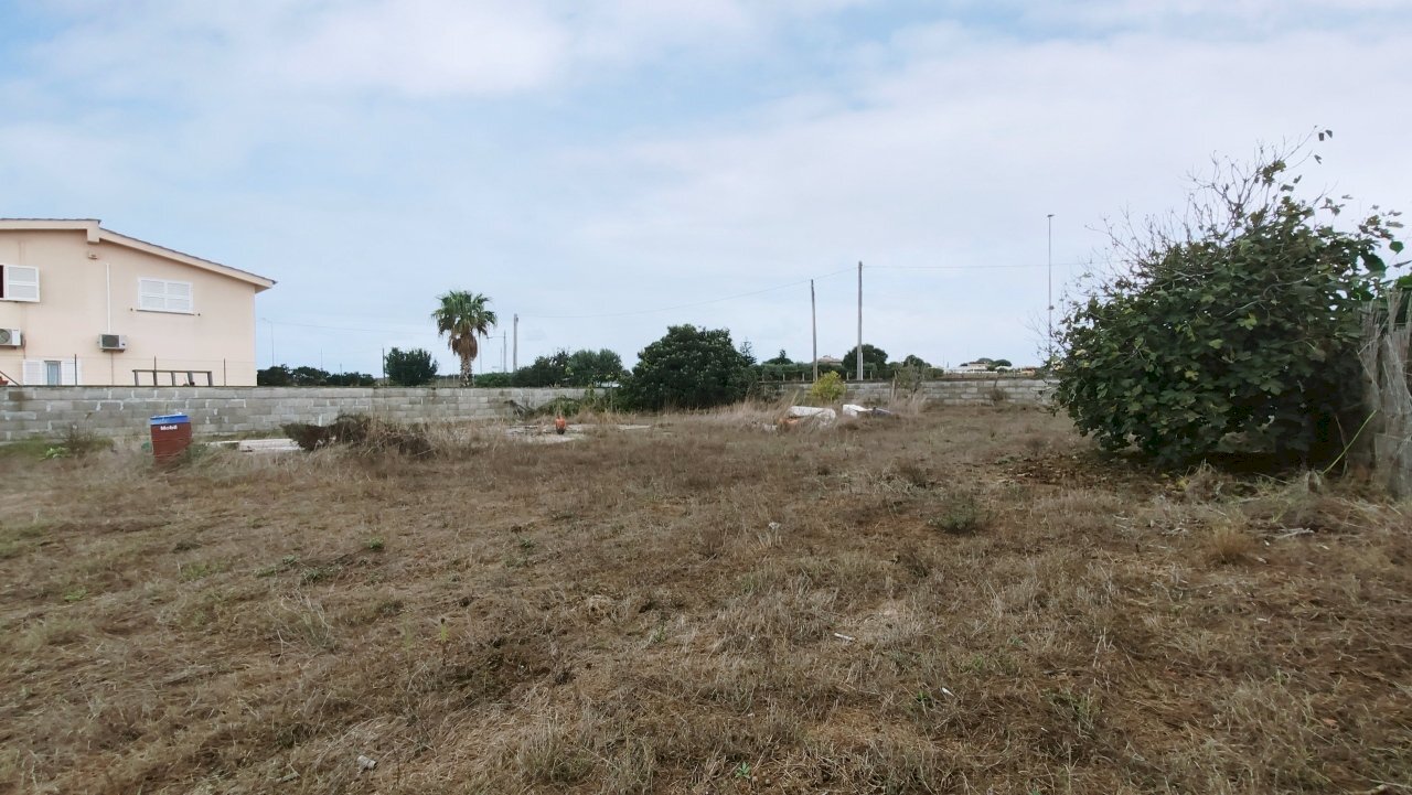 IMG_20211006_110425.jpg - Terreno agricolo Via della Campana, Anzio - foto 3