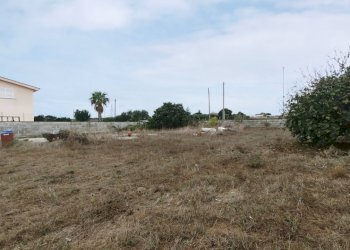 IMG_20211006_110425.jpg - Terreno agricolo Via della Campana, Anzio - foto 3