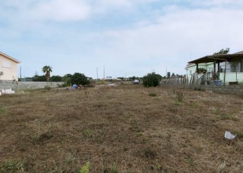 IMG_20211006_110400.jpg - Terreno agricolo Via della Campana, Anzio - foto 4