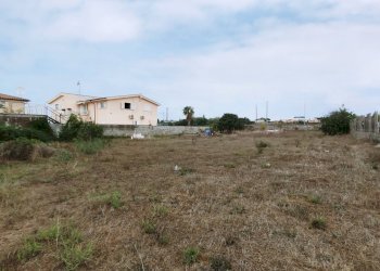 IMG_20211006_110335.jpg - Terreno agricolo Via della Campana, Anzio - foto 5