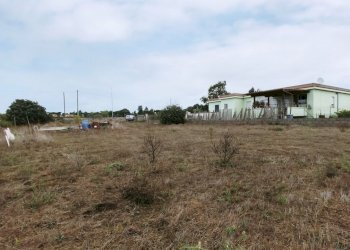 IMG_20211006_110256.jpg - Terreno agricolo Via della Campana, Anzio - foto 6