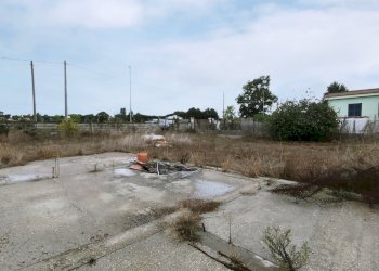 IMG_20211006_110209.jpg - Terreno agricolo Via della Campana, Anzio - foto 7