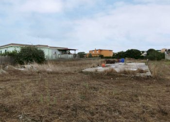 IMG_20211006_110140.jpg - Terreno agricolo Via della Campana, Anzio - foto 8