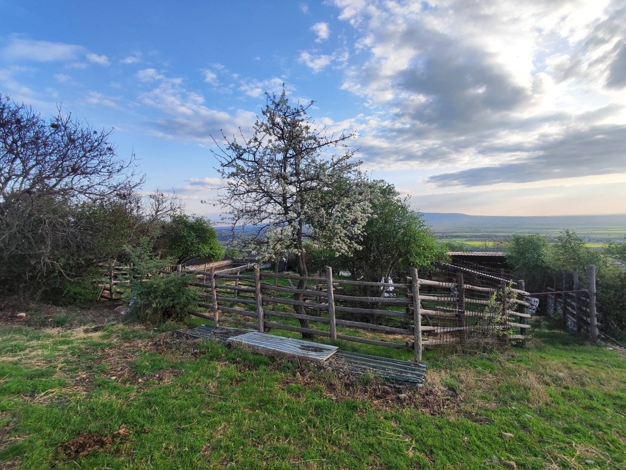 653494746_1501428178430447_8174375519882691813_n.j - Agricultural land SP53a 53, Tivoli - photo 2