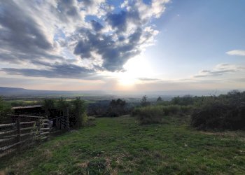 652484216_1501428278430437_5956792061811289982_n.j - Agricultural land SP53a 53, Tivoli - photo 1