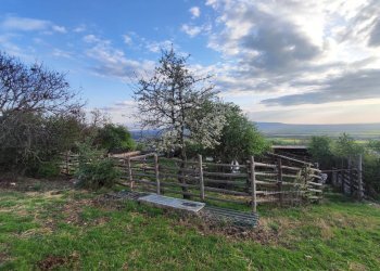 653494746_1501428178430447_8174375519882691813_n.j - Agricultural land SP53a 53, Tivoli - photo 2