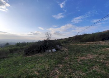 653701005_1501428215097110_5783213921512767406_n.j - Agricultural land SP53a 53, Tivoli - photo 3