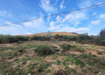 653970488_1501428315097100_6122299222113279907_n.j - Agricultural land SP53a 53, Tivoli - photo 4