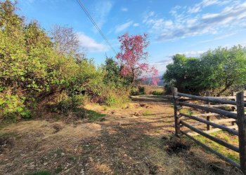 654207579_1501428128430452_7434701773443718129_n.j - Agricultural land SP53a 53, Tivoli - photo 5