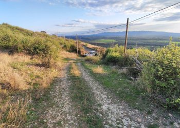 654404045_1501428551763743_3085723089719831948_n.j - Agricultural land SP53a 53, Tivoli - photo 6