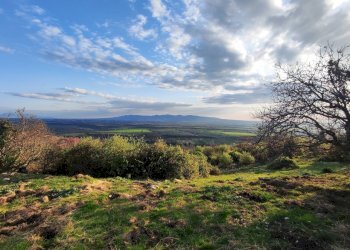 654456673_1501427928430472_5658744637638898922_n.j - Agricultural land SP53a 53, Tivoli - photo 7