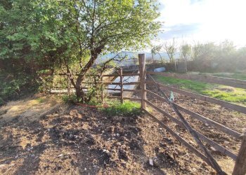 655765539_1501428048430460_7179055538553768617_n.j - Agricultural land SP53a 53, Tivoli - photo 9