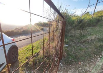 654296356_1501427998430465_8417878359552372422_n.j - Agricultural land SP53a 53, Tivoli - photo 10