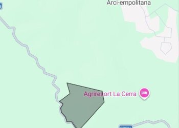 653702508_1501428075097124_2555931353365578830_n.j - Agricultural land SP53a 53, Tivoli - photo 11