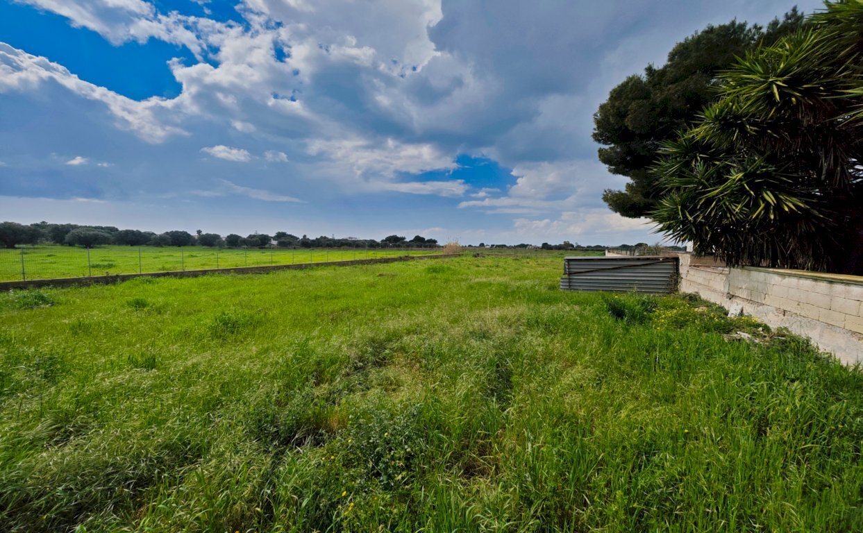 terreno - Terreno agricolo Via Rosmarini, Leporano - foto 3