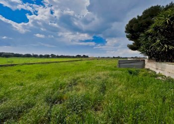 terreno - Terreno agricolo Via Rosmarini, Leporano - foto 3