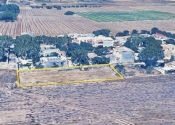 terreno - Terreno agricolo Via Rosmarini, Leporano - foto 7