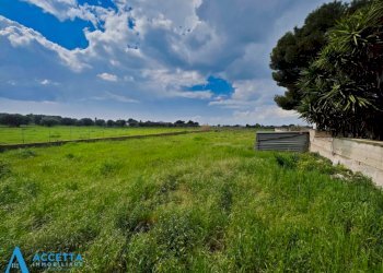 terreno - Terreno agricolo Via Rosmarini, Leporano - foto 8