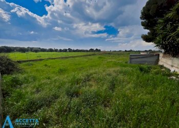 terreno - Terreno agricolo Via Rosmarini, Leporano - foto 9