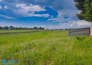 terreno - Terreno agricolo Via Rosmarini, Leporano - foto 10