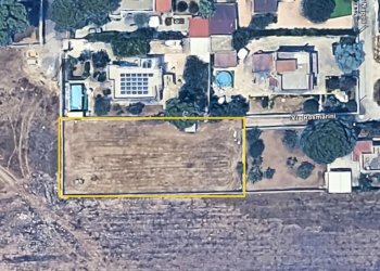 terreno - Terreno agricolo Via Rosmarini, Leporano - foto 11