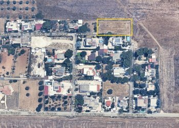 terreno - Terreno agricolo Via Rosmarini, Leporano - foto 12