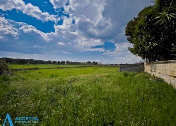 terreno - Terreno agricolo Via Rosmarini, Leporano - foto 13