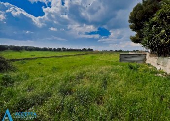 terreno - Terreno agricolo Via Rosmarini, Leporano - foto 16