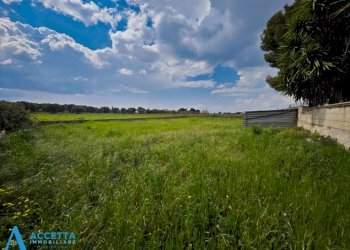 terreno - Terreno agricolo Via Rosmarini, Leporano - foto 20