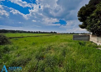 terreno - Terreno agricolo Via Rosmarini, Leporano - foto 21