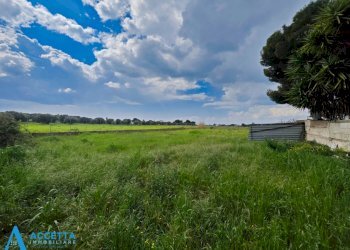 terreno - Terreno agricolo Via Rosmarini, Leporano - foto 23