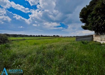 terreno - Terreno agricolo Via Rosmarini, Leporano - foto 24
