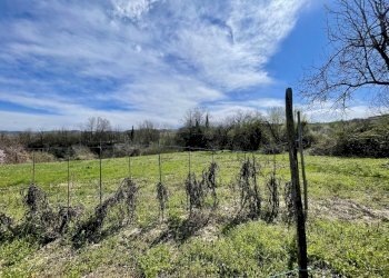 006.jpeg - Rustic Borgata Biarella 32, Dogliani - photo 6