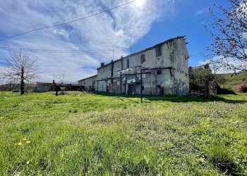 011.jpeg - Rustic Borgata Biarella 32, Dogliani - photo 11