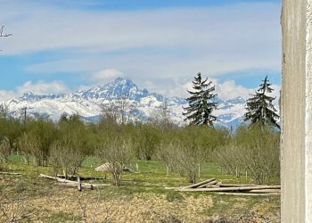 1111.jpg - Rustic Borgata Biarella 32, Dogliani - photo 21