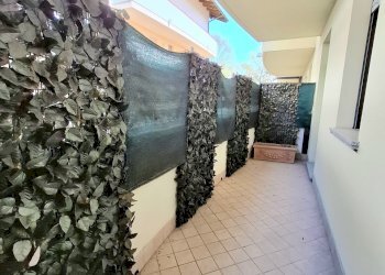 20260325_115550.jpg - Appartamento via g. b. buffetti, Rovigo - foto 11