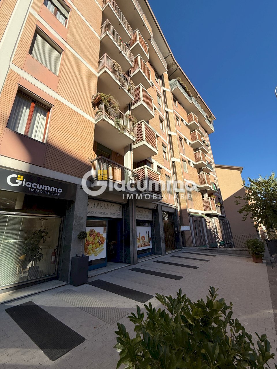 salu3.jpg - Locale Commerciale Via Giuseppe Mazzini 23, Potenza - foto 2