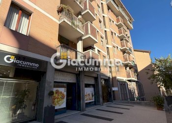 salu3.jpg - Locale Commerciale Via Giuseppe Mazzini 23, Potenza - foto 2